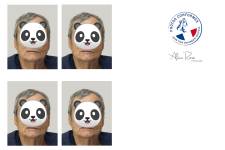 Alicia ROSE - ALICIA ROSE PHOTO