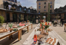 Iris SALEANDRO - LOEILDIRIS