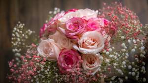 Alain RACINE - STUDIO PHOTO RACINE