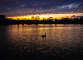 Davy AHOUA - STUDIO VISUALIZER